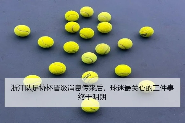浙江队足协杯晋级消息传来后，球迷最关心的三件事终于明朗